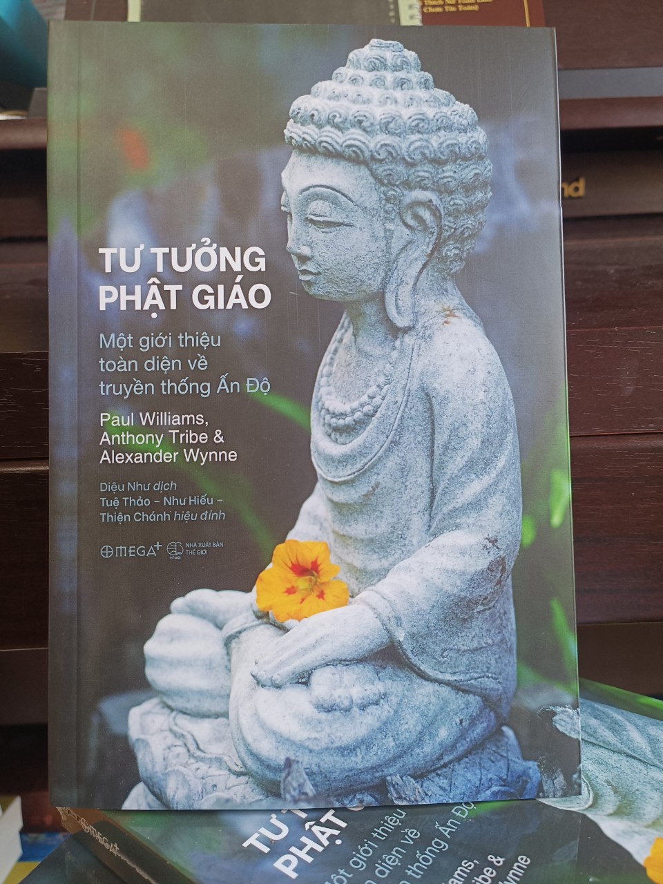 Tư Tưởng Phật Giáo: Một Giới Thiệu Toàn Diện Về Truyền Thống Ấn Độ