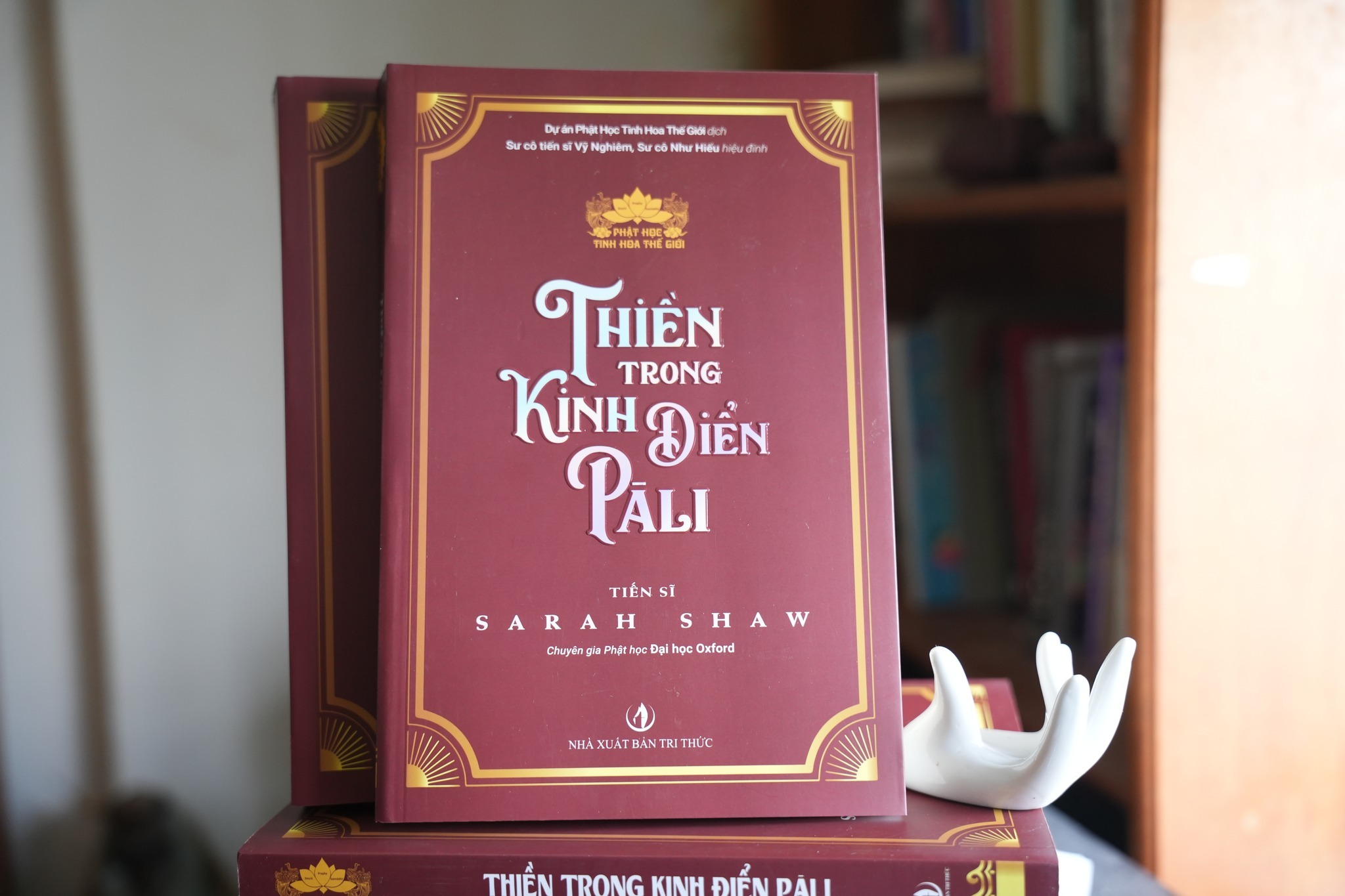 THIỀN TRONG KINH ĐIỂN PALI -Sarah Shaw